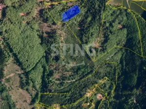 Prodej louky, Košařiska, 6262 m2