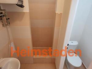 Pronájem bytu 1+kk, Stonava, Bažantnice, 21 m2