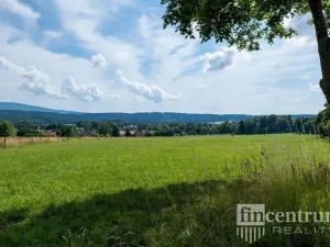 Prodej trvalého travního porostu, Jindřichovice pod Smrkem, 53774 m2