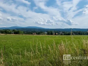 Prodej trvalého travního porostu, Jindřichovice pod Smrkem, 53774 m2