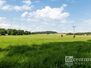 Prodej trvalého travního porostu, Jindřichovice pod Smrkem, 53774 m2
