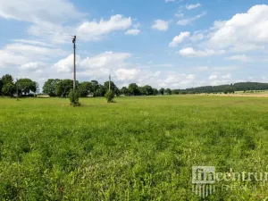 Prodej trvalého travního porostu, Jindřichovice pod Smrkem, 53774 m2