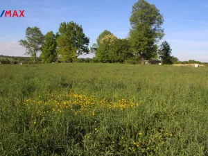 Prodej pozemku pro bydlení, Pertoltice, 4488 m2