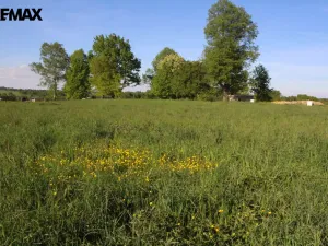 Prodej pozemku pro bydlení, Pertoltice, 4488 m2