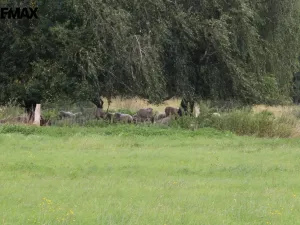 Prodej pozemku pro bydlení, Pertoltice, 4488 m2