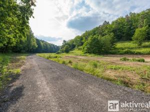 Prodej pozemku pro bydlení, Medonosy - Chudolazy, 1181 m2