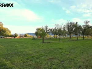 Prodej zemědělské půdy, Zlín, 4674 m2