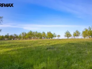 Prodej zemědělské půdy, Zlín, 4674 m2