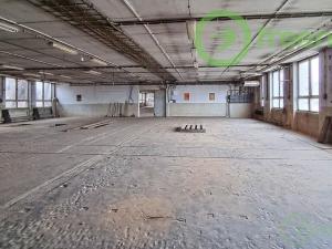 Pronájem skladu, Chlumec nad Cidlinou, Gollova, 45000 m2