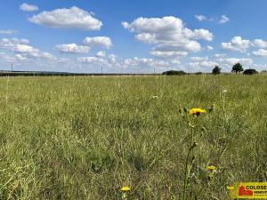 Prodej pozemku pro komerční výstavbu, Znojmo, 22332 m2