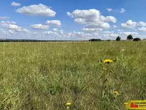 Prodej pozemku pro komerční výstavbu, Znojmo, 22332 m2
