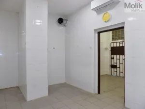 Pronájem obchodního prostoru, Teplice, Benešovo náměstí, 68 m2