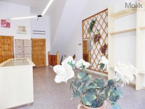 Prodej činžovního domu, Teplice, 240 m2