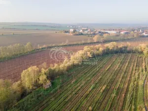 Prodej chaty, Kolešov, 21 m2