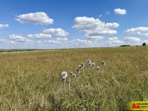 Prodej pozemku pro komerční výstavbu, Znojmo - Mramotice, 8168 m2