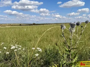 Prodej pozemku pro komerční výstavbu, Znojmo - Mramotice, 8168 m2