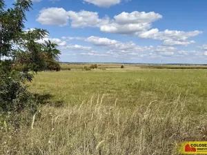 Prodej pozemku pro komerční výstavbu, Znojmo, 27908 m2