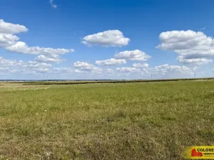 Prodej pozemku pro komerční výstavbu, Znojmo, 27908 m2