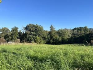 Prodej pozemku pro komerční výstavbu, Třinec, 11301 m2