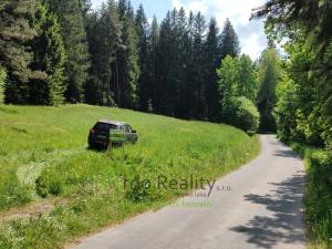 Prodej pozemku pro bydlení, Přední Výtoň, Frýdava, 2152 m2