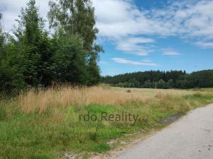 Pronájem pozemku pro komerční výstavbu, Vyšší Brod, 110000 m2