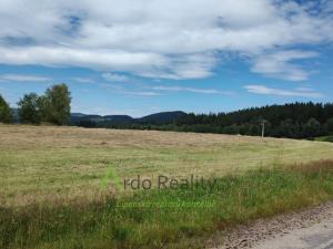 Pronájem pozemku pro komerční výstavbu, Vyšší Brod, 110000 m2