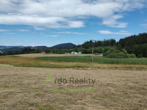 Pronájem pozemku pro komerční výstavbu, Vyšší Brod, 110000 m2