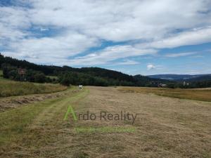 Prodej pozemku pro komerční výstavbu, Vyšší Brod, 110000 m2