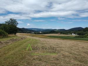 Prodej pozemku pro komerční výstavbu, Vyšší Brod, 110000 m2