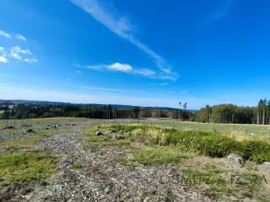 Prodej lesa, Žďár, 233155 m2