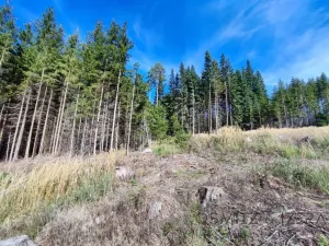 Prodej lesa, Žďár, 233155 m2