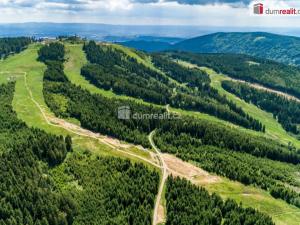 Prodej pozemku pro bydlení, Merklín - Pstruží, 4233 m2