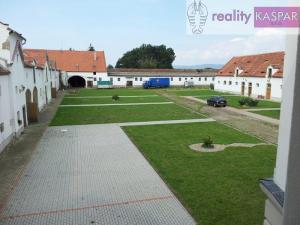 Prodej rodinného domu, Veliká Ves, 1000 m2