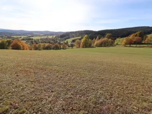 Prodej louky, Stachy, 15932 m2