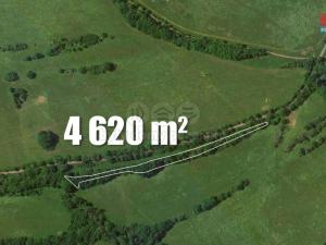 Prodej lesa, Kozly, 4656 m2