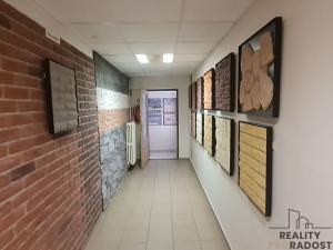 Prodej výrobních prostor, Radslavice, 3300 m2