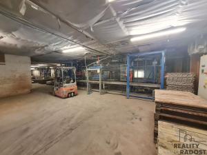 Prodej výrobních prostor, Radslavice, 3300 m2