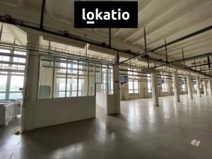 Pronájem skladu, Hrušovany u Brna, 1000 m2