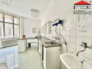 Pronájem obchodního prostoru, Brno, Josefská, 189 m2