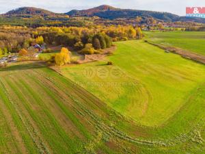 Prodej trvalého travního porostu, Radvanec, 13224 m2