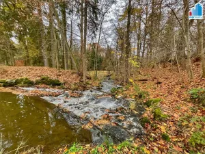 Prodej rybníku, Čmelíny - Víska, 14487 m2