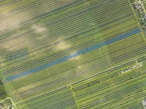Prodej zemědělské půdy, Břeclav, Havlíčkova, 1437 m2