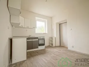 Pronájem bytu 1+1, Vápenná, 42 m2