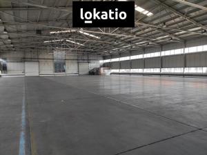 Pronájem skladu, Bílina, Důlní, 2160 m2