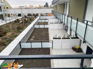 Pronájem bytu 2+kk, České Budějovice - České Budějovice 2, V. Talicha, 60 m2