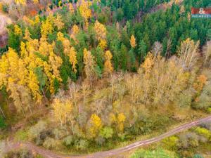 Prodej lesa, Tuchořice, 2921 m2