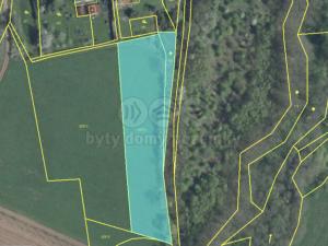 Prodej trvalého travního porostu, Tuchořice, 4242 m2