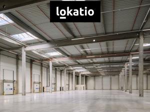 Pronájem skladu, Příšovice, 4858 m2