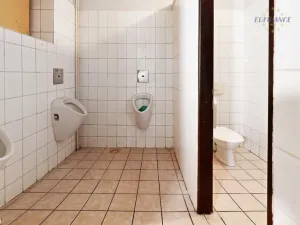 Prodej obchodního prostoru, Kralupy nad Vltavou, Hostivítova, 485 m2