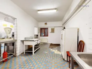 Prodej rodinného domu, Kralupy nad Vltavou, Hostivítova, 485 m2